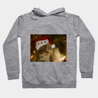 Cat with Christmas hat on Hoodie